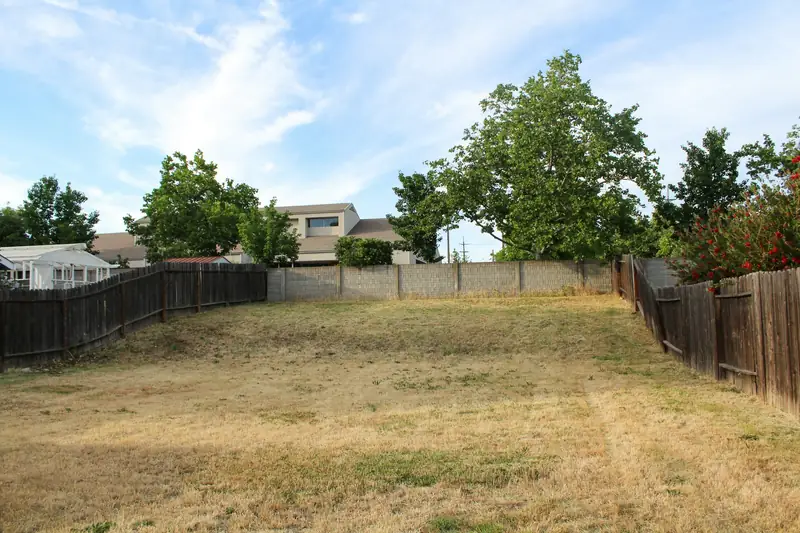 Dry, patchy brown backyard lawn inside a wooden fence