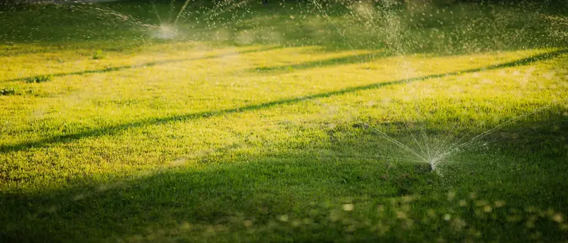 Several sprinklers watering a sunlit lawn at sunset