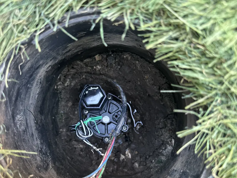 Sprinkler valve with a black solenoid and colored wires inside a round valve box set in the lawn