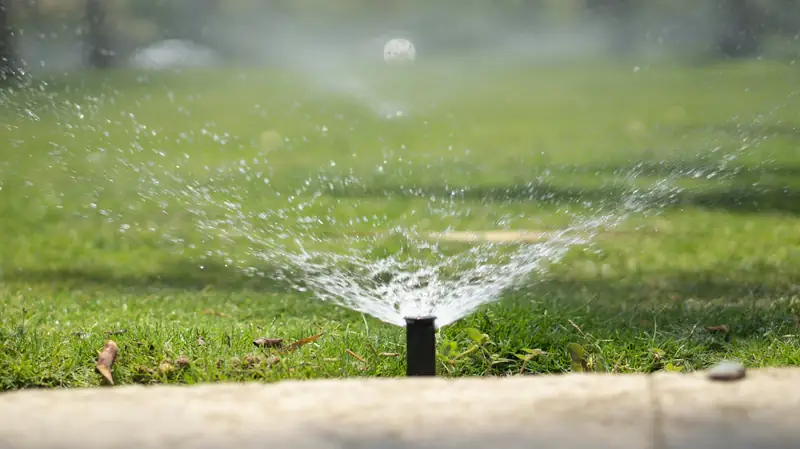 Close-up of a pop-up spray head watering a lawn beside a curb