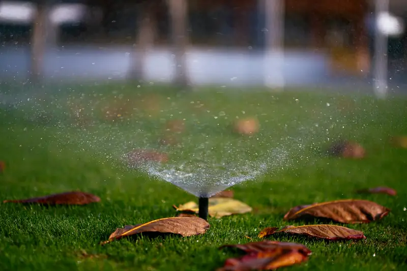 Pop-up spray head spraying a fan of water over a lawn with fallen leaves