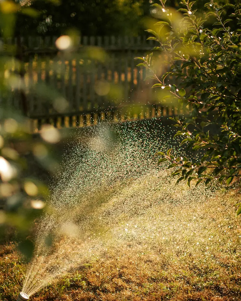 Sprinkler spraying over dry, straw-colored grass