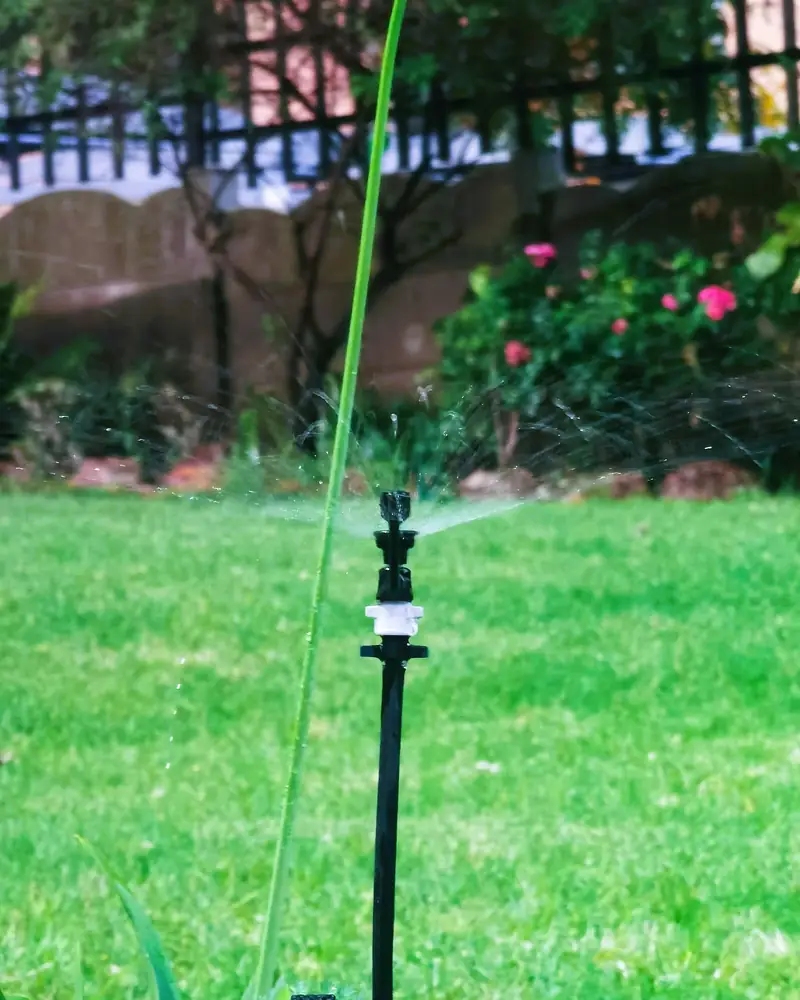 Sprinkler on a tall riser watering a backyard lawn by a fence